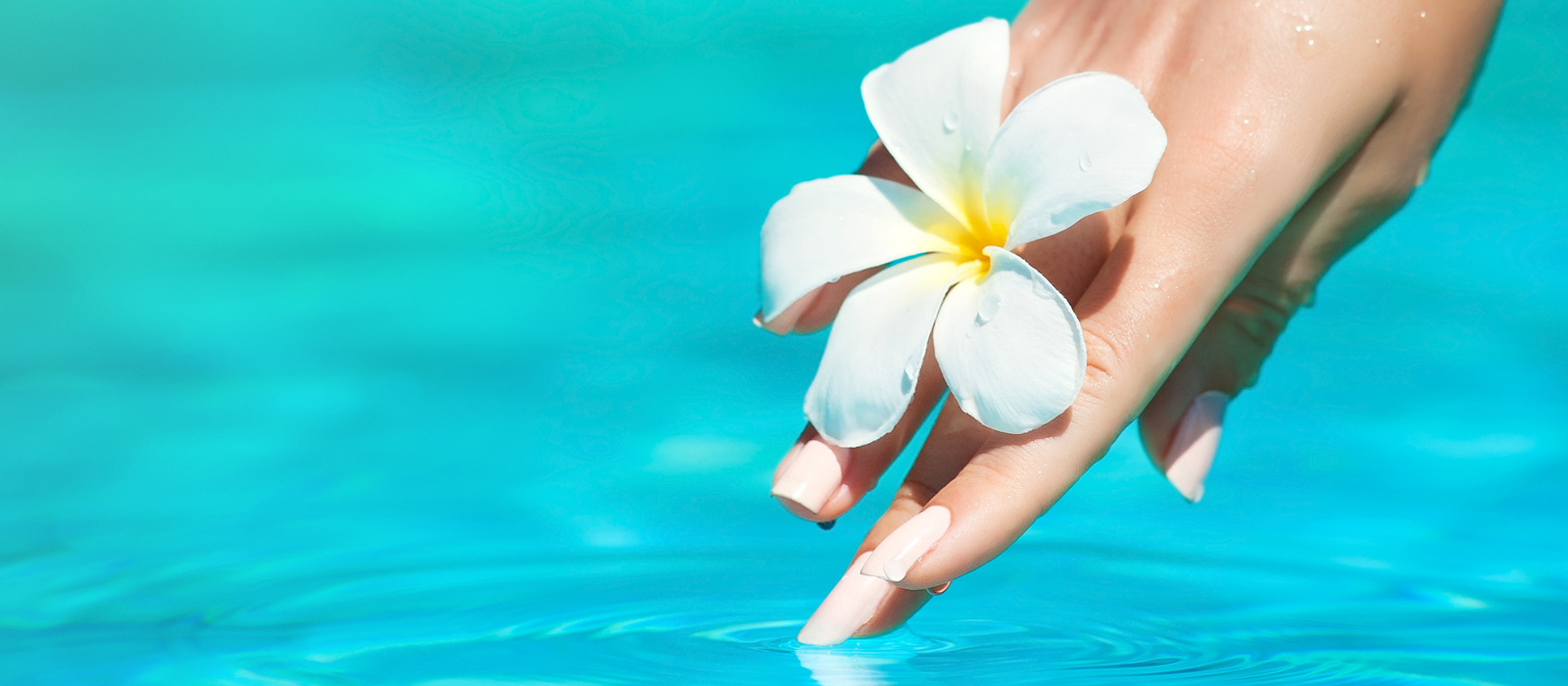 NAILS . SPA . FACIALS. WAXING